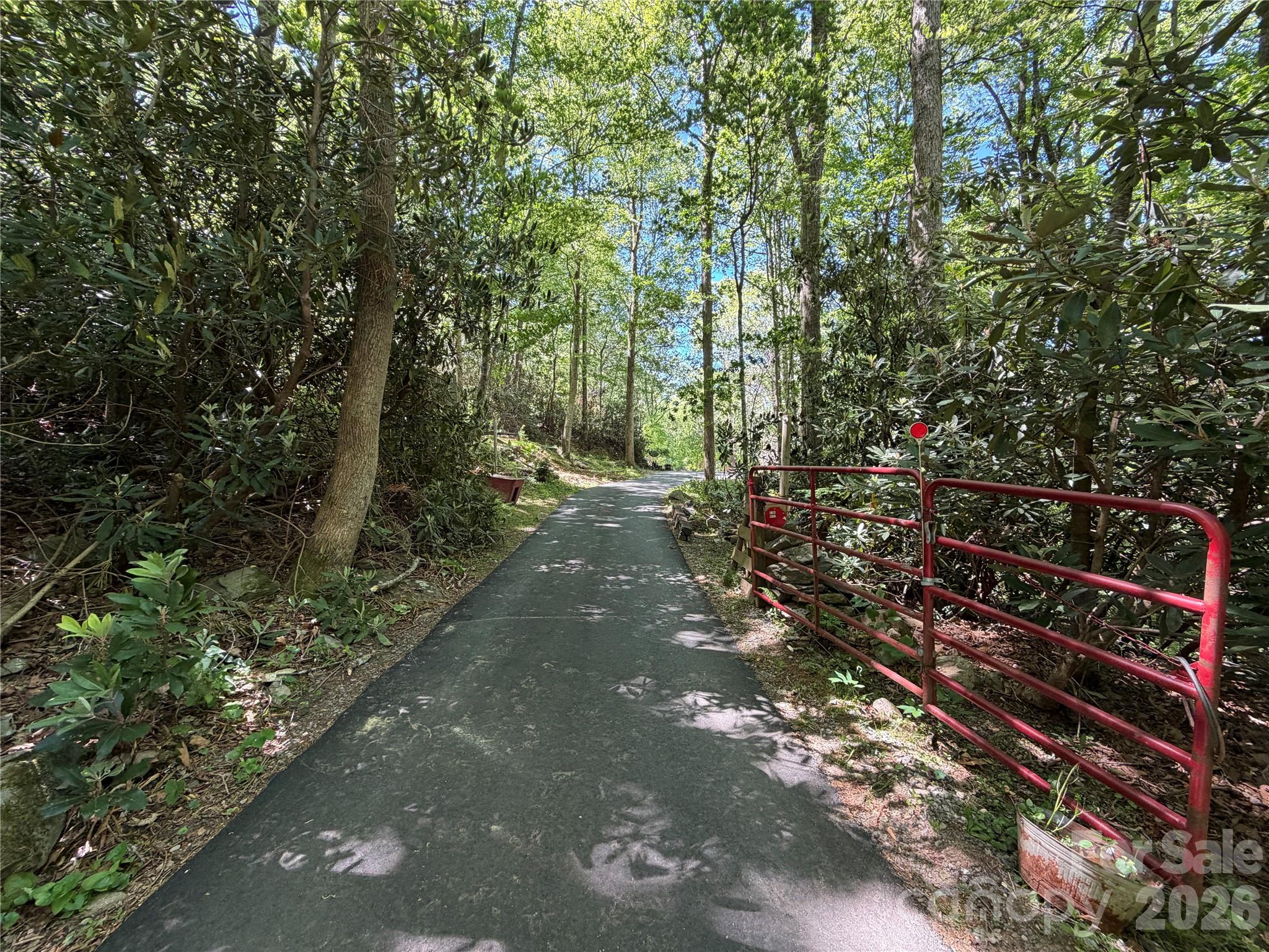 25 Buck Ridge Road Fairview, NC 28730 - Photo 1 of 27