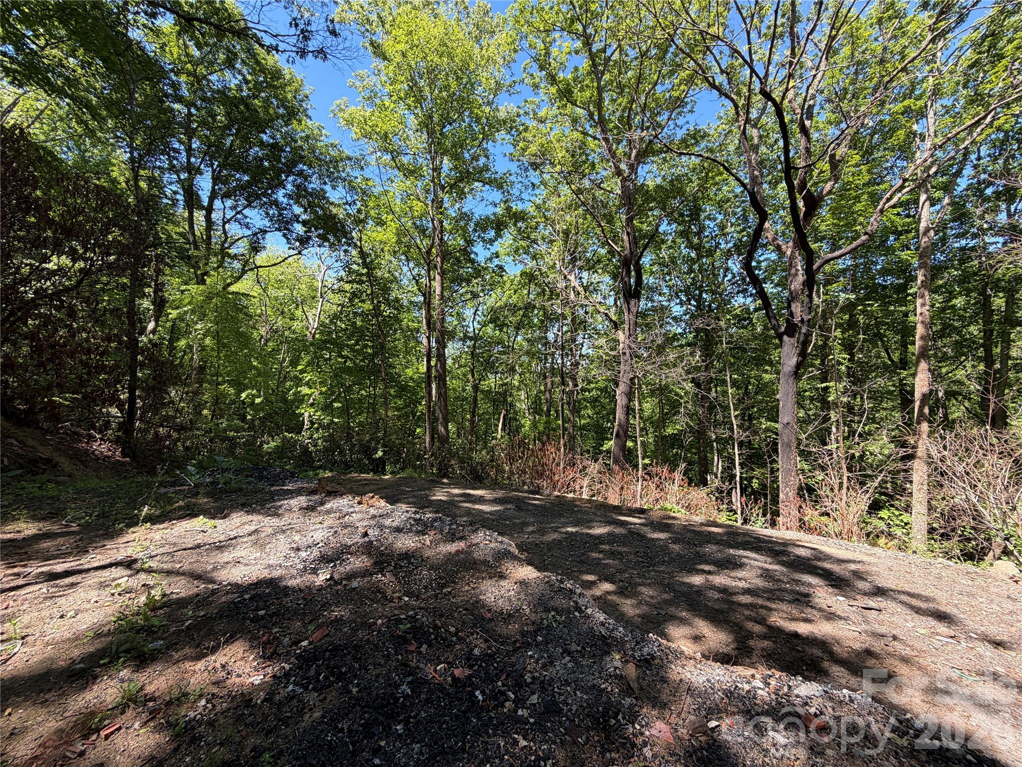 25 Buck Ridge Road Fairview, NC 28730 - Photo 11 of 27