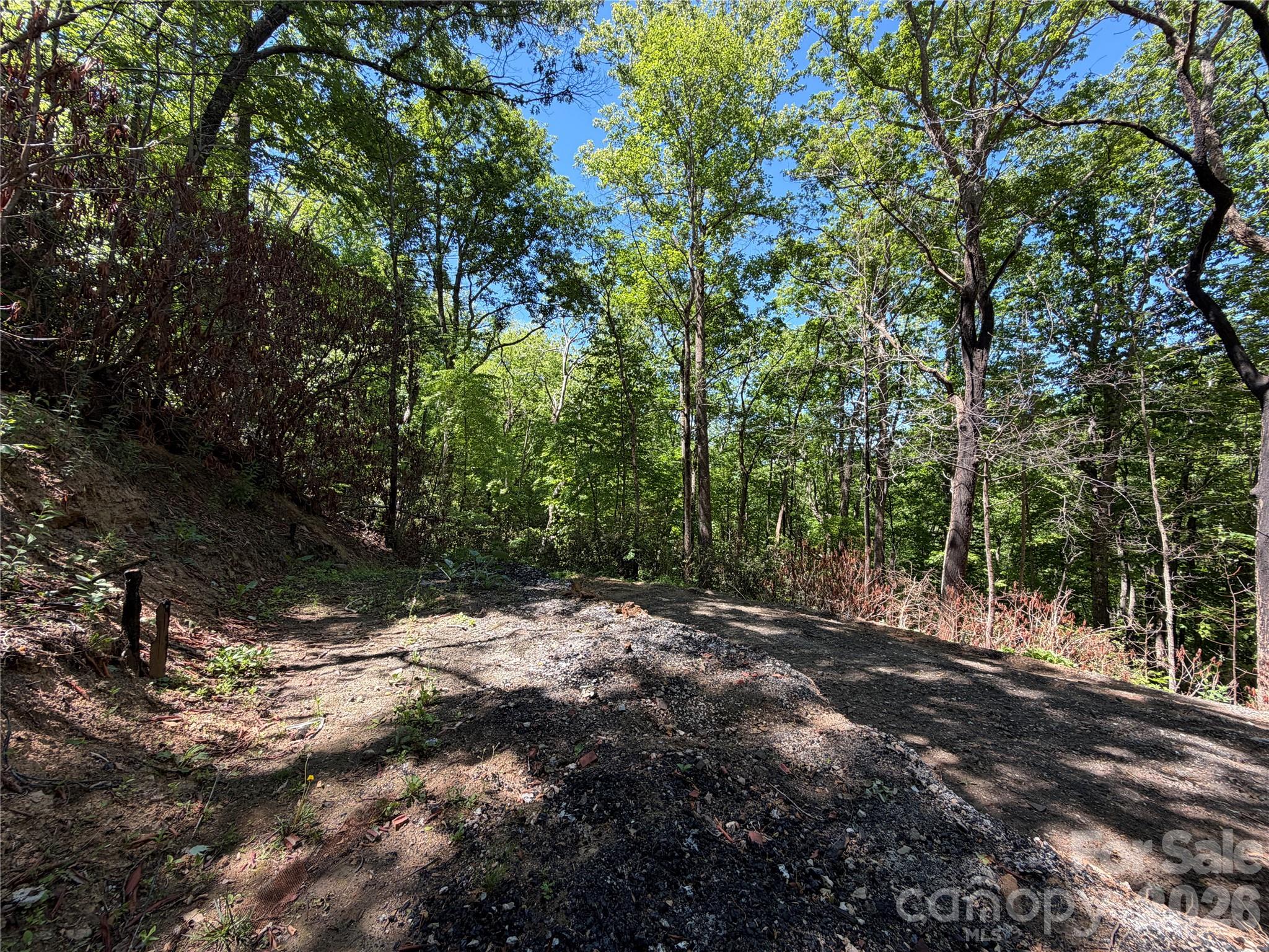 25 Buck Ridge Road Fairview, NC 28730 - Photo 12 of 27