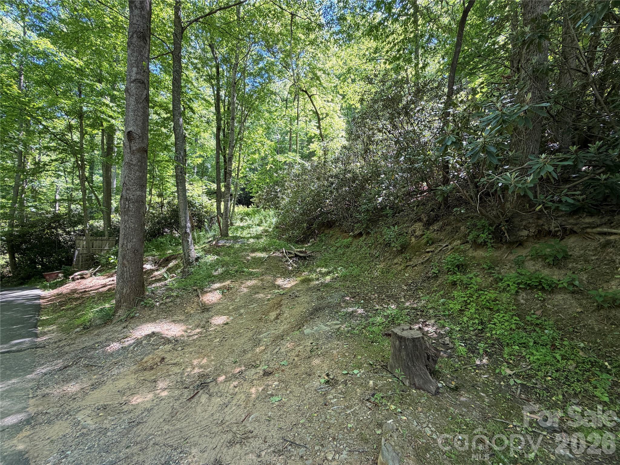 25 Buck Ridge Road Fairview, NC 28730 - Photo 15 of 27