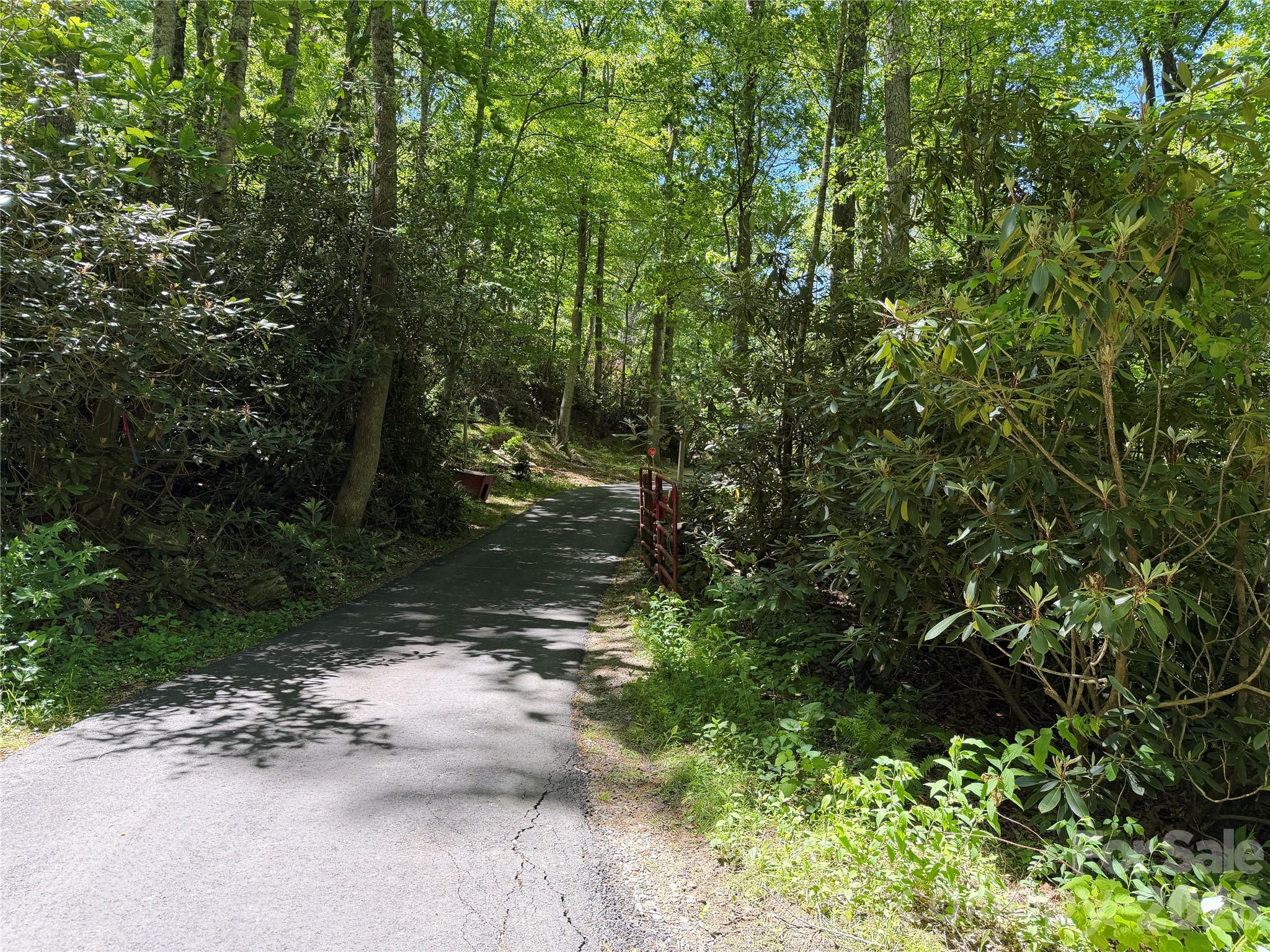 25 Buck Ridge Road Fairview, NC 28730 - Photo 16 of 27