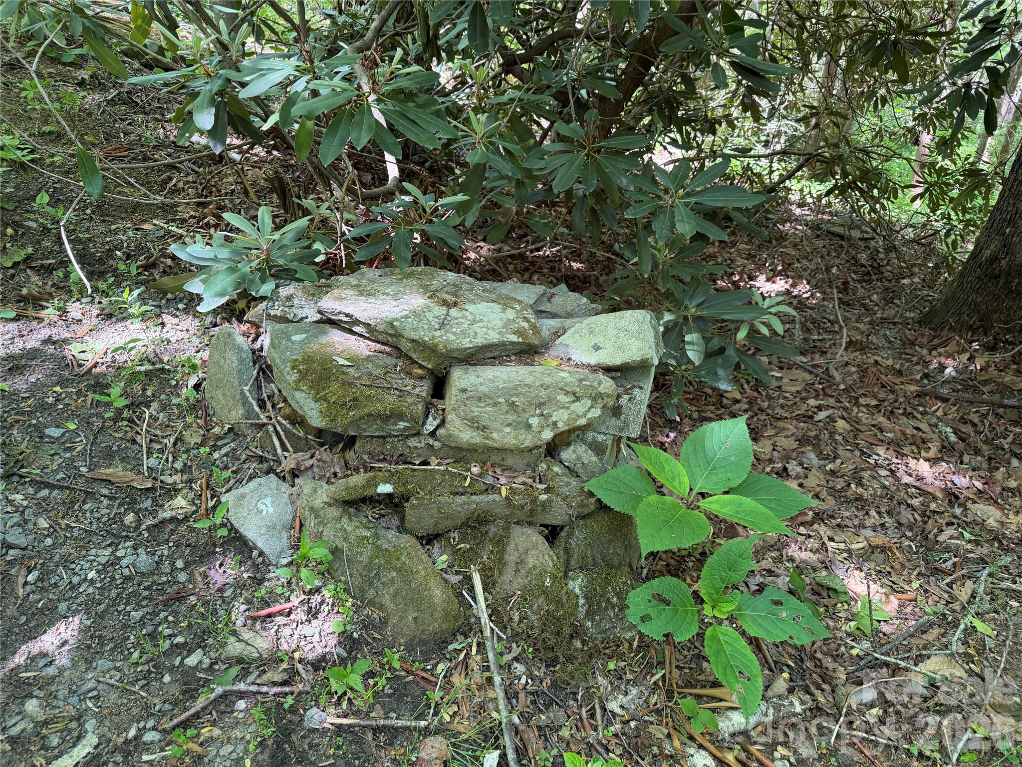 25 Buck Ridge Road Fairview, NC 28730 - Photo 17 of 27