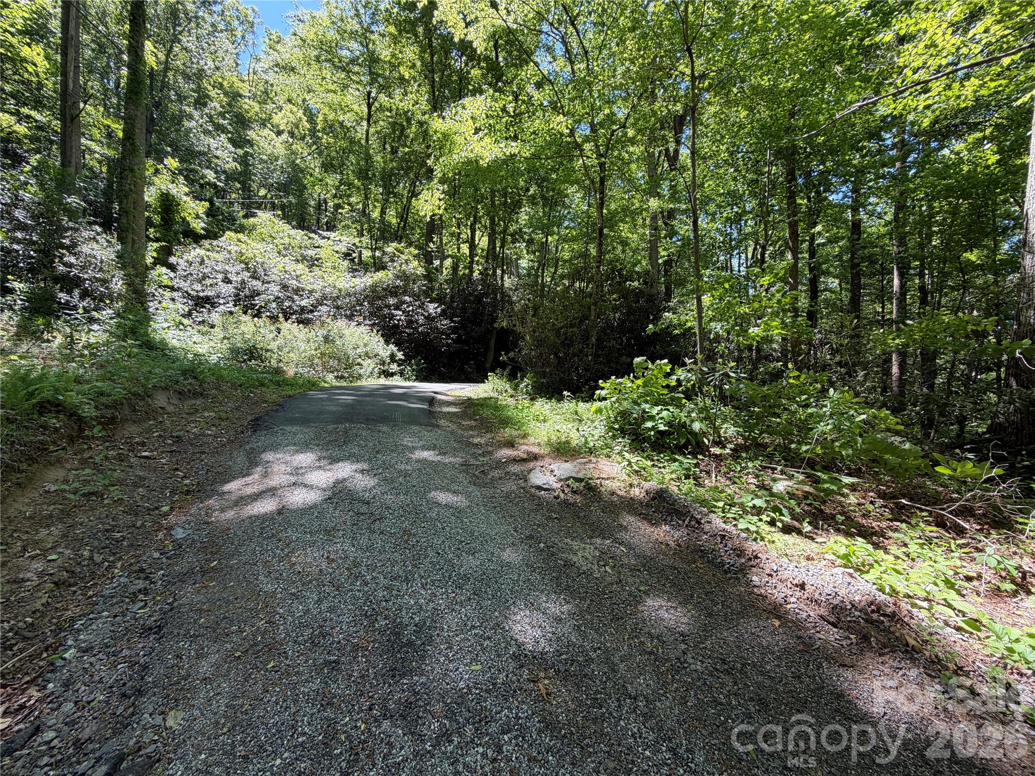 25 Buck Ridge Road Fairview, NC 28730 - Photo 19 of 27