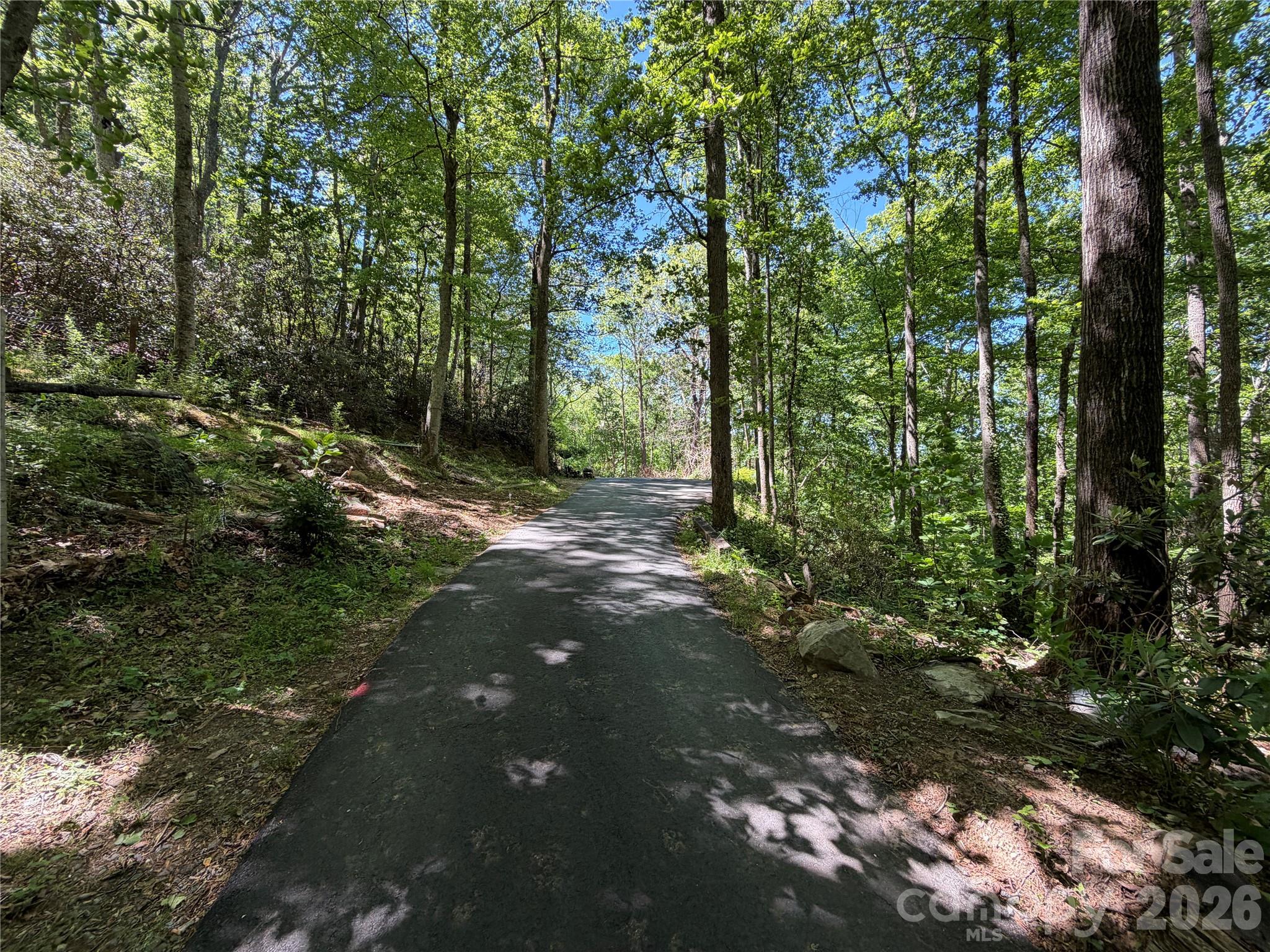 25 Buck Ridge Road Fairview, NC 28730 - Photo 2 of 27
