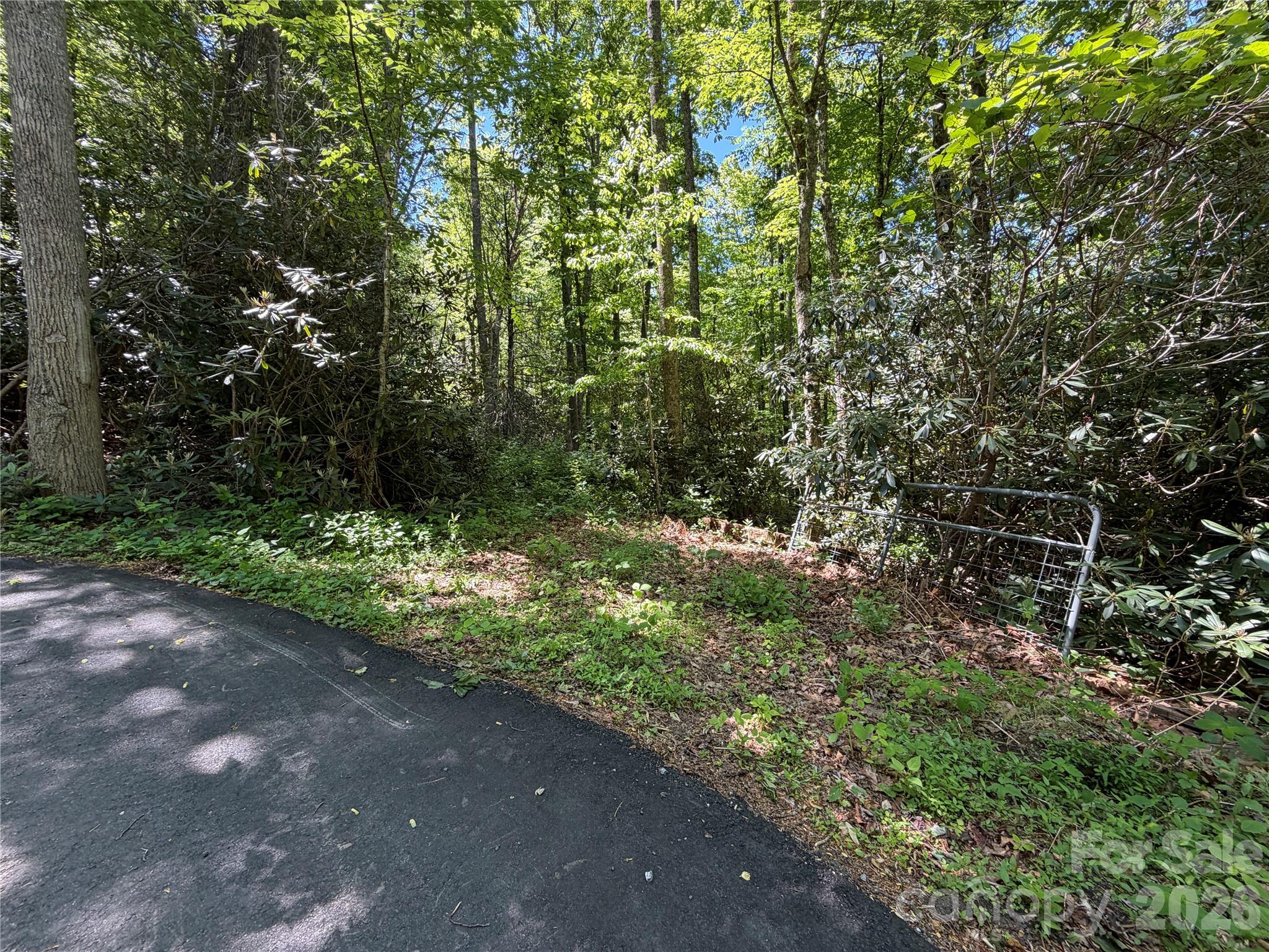 25 Buck Ridge Road Fairview, NC 28730 - Photo 21 of 27