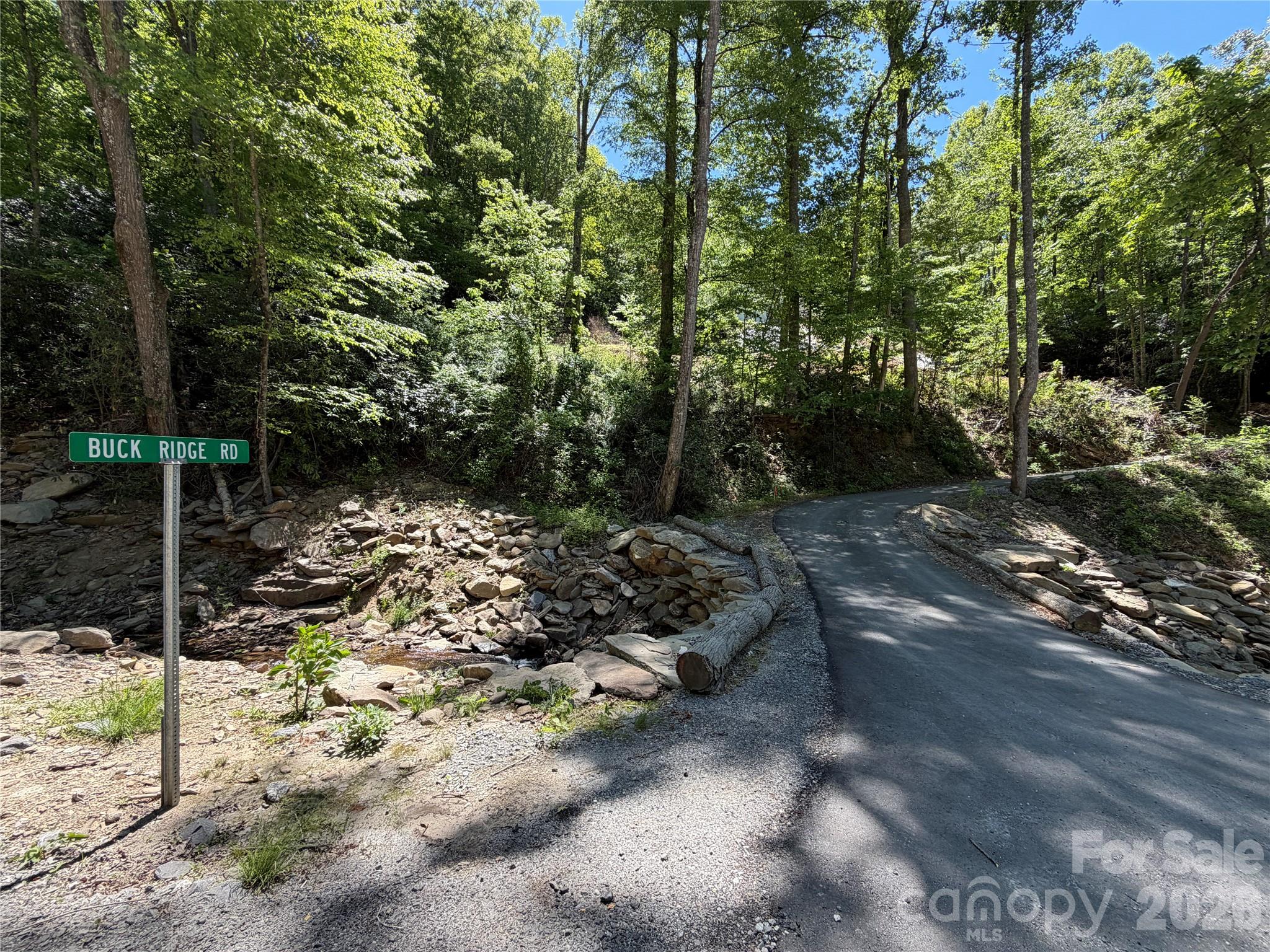25 Buck Ridge Road Fairview, NC 28730 - Photo 23 of 27