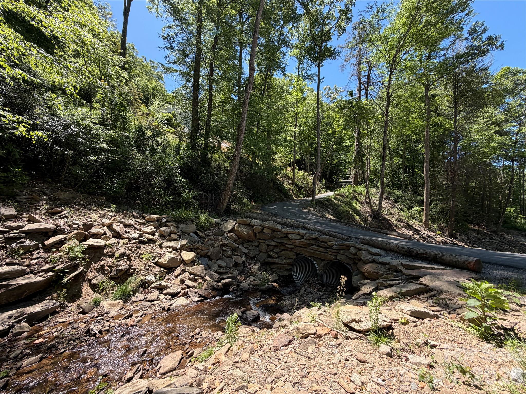 25 Buck Ridge Road Fairview, NC 28730 - Photo 25 of 27