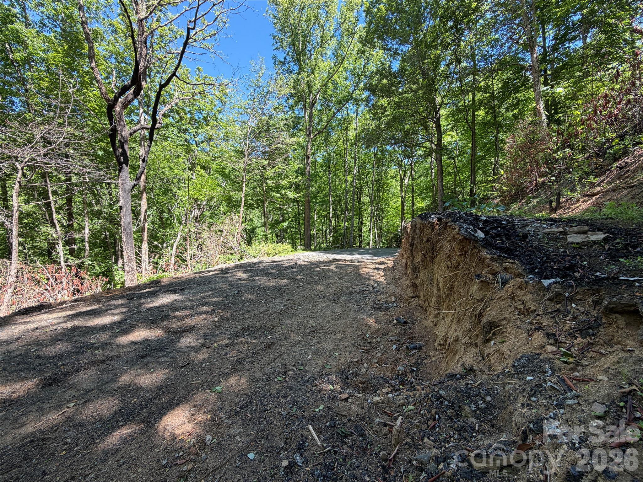 25 Buck Ridge Road Fairview, NC 28730 - Photo 7 of 27