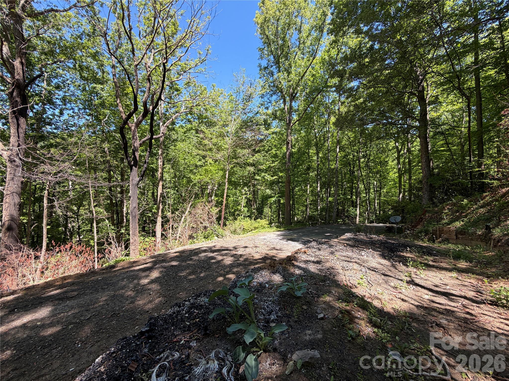 25 Buck Ridge Road Fairview, NC 28730 - Photo 8 of 27