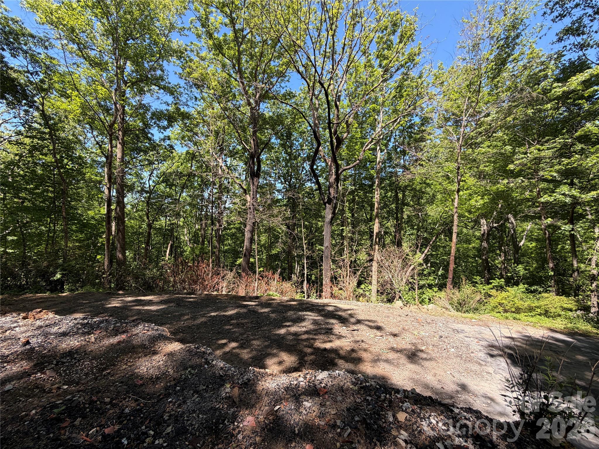25 Buck Ridge Road Fairview, NC 28730 - Photo 10 of 27