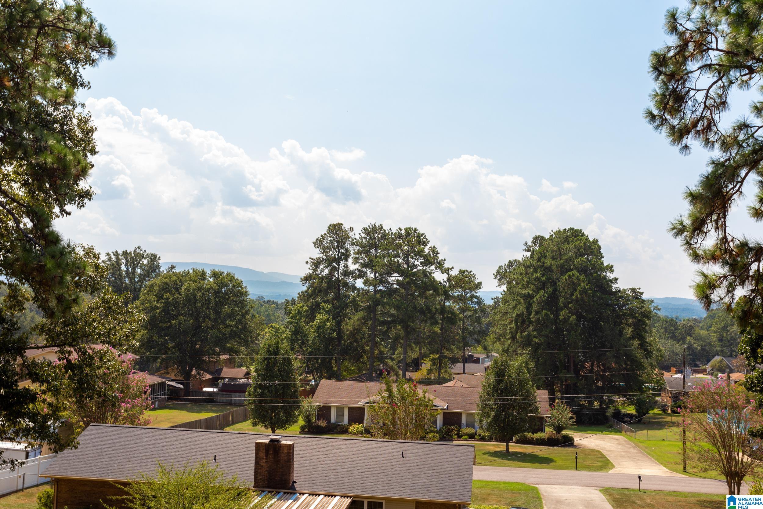 1205 Mountainbrook Road Oxford, AL 36203 - Photo 35 of 48