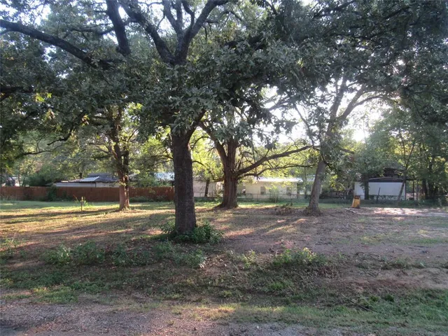 a view of a yard with a tree