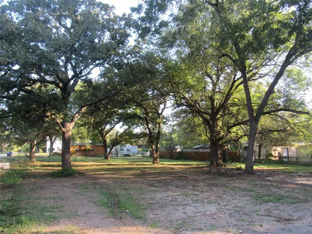 a view of yard with trees