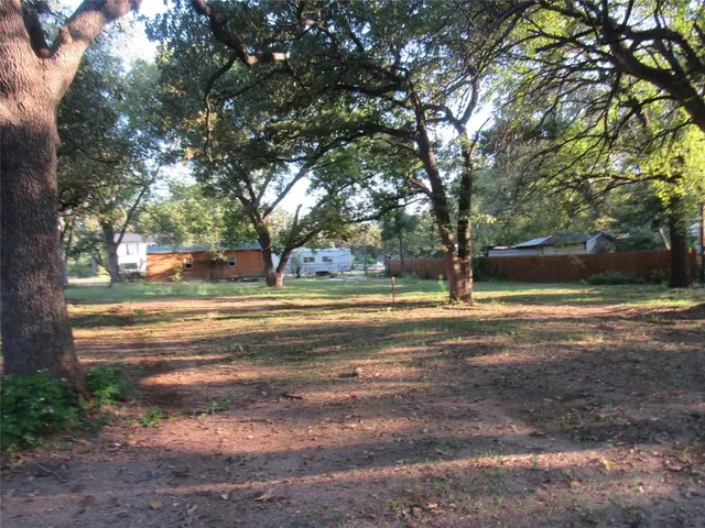 a view of road with large trees