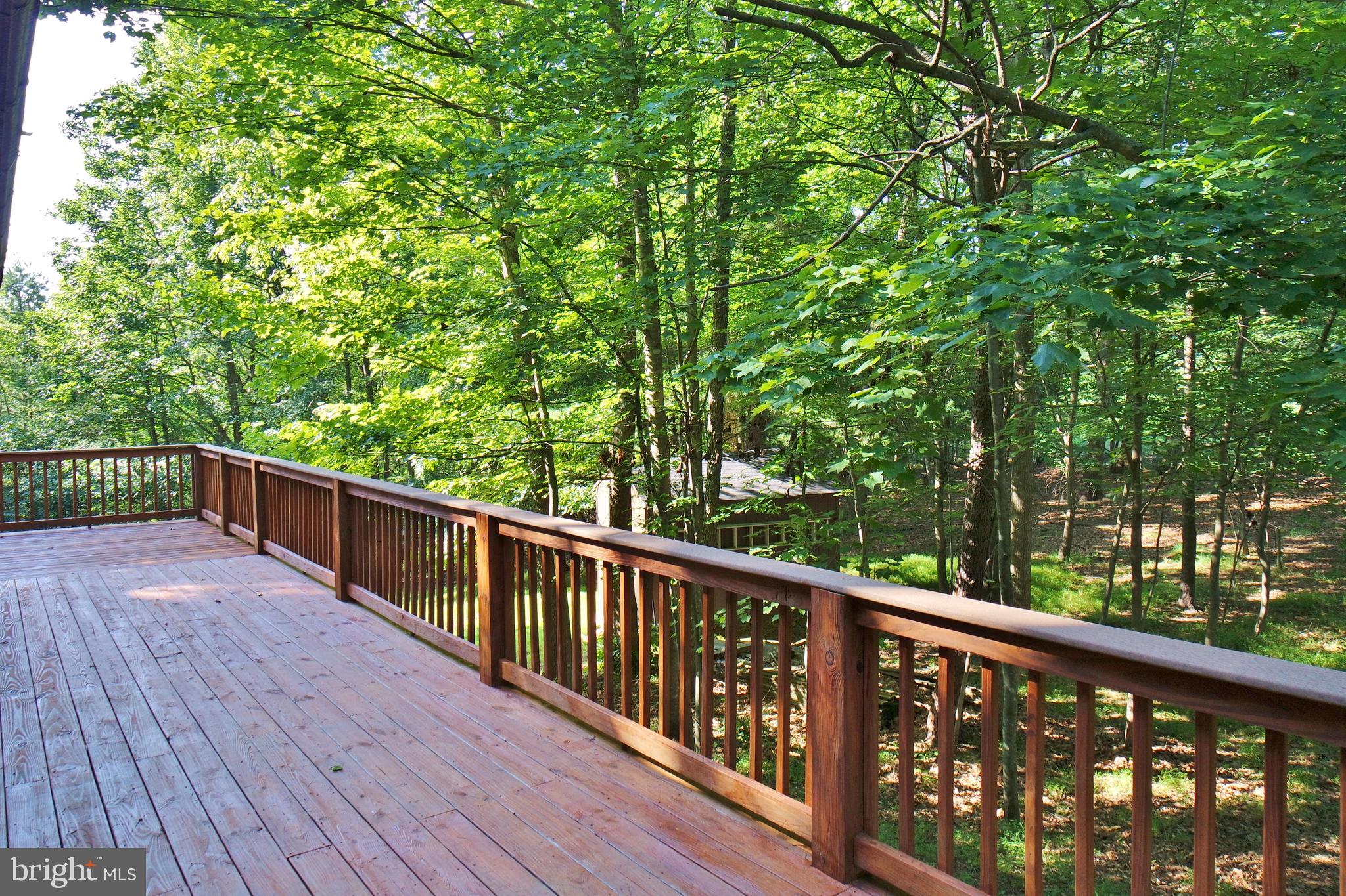 585 Timber Ridge Lane Mount Jackson, VA 22842 - Photo 26 of 44