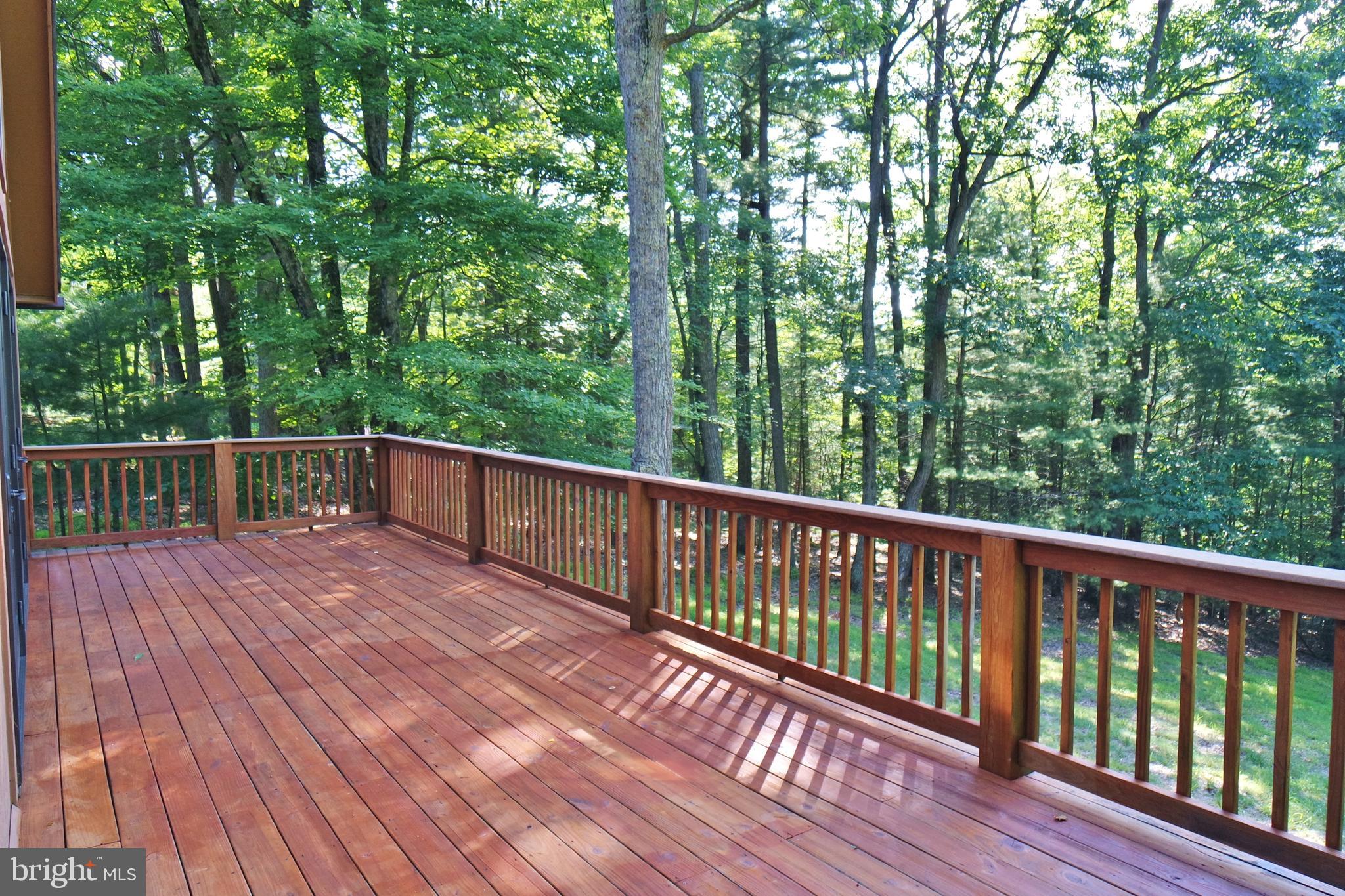 585 Timber Ridge Lane Mount Jackson, VA 22842 - Photo 5 of 44