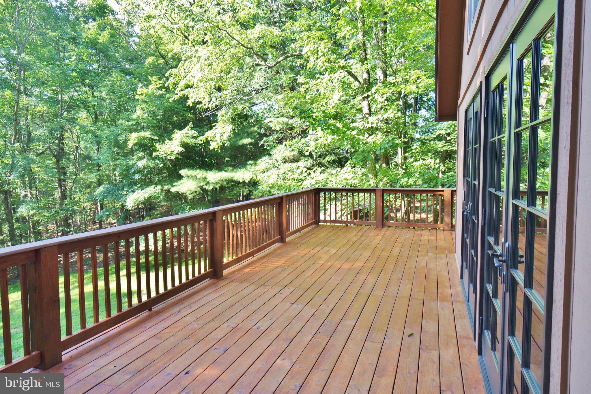 585 Timber Ridge Lane Mount Jackson, VA 22842 - Photo 6 of 44