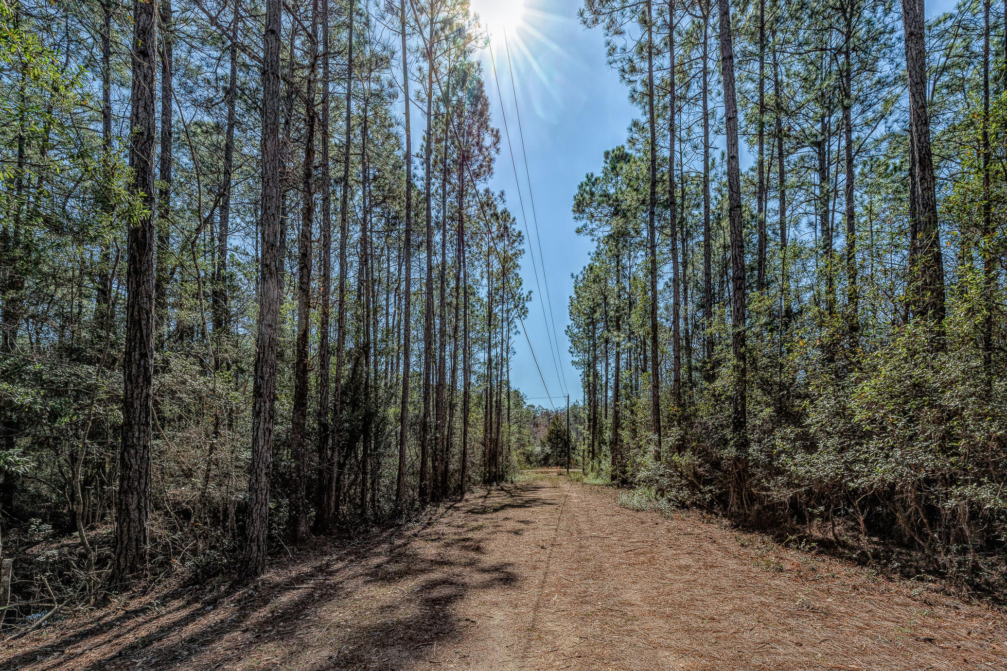 0 Nicole Road, Unit LOT 17 Freeport, FL 32439 - Photo 1 of 7 NICOLE RD