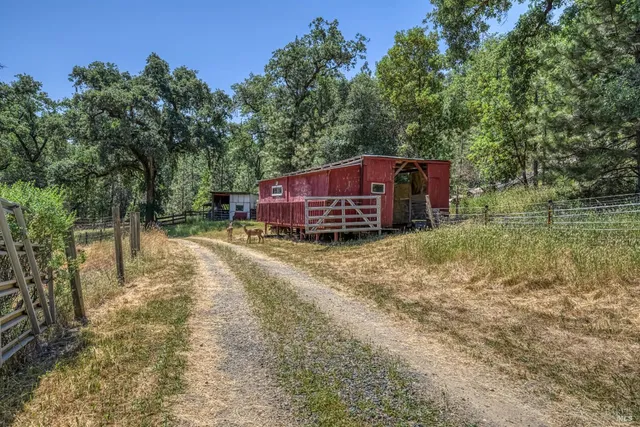 a view of a backyard
