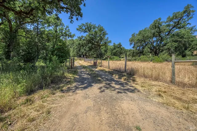 a view of a pathway both side of yard