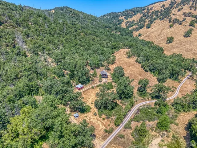 a view of a forest with mountains in the background