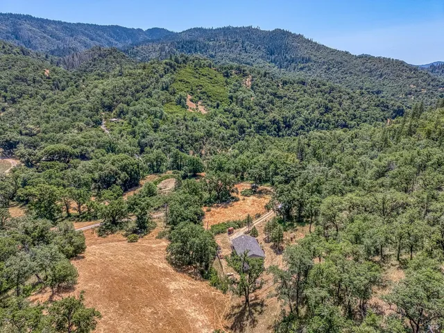 an aerial view of a forest with houses