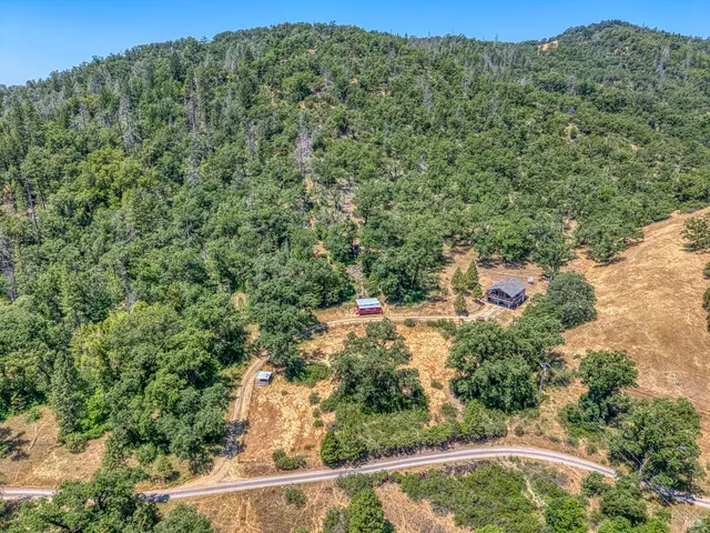 a view of a forest with a street