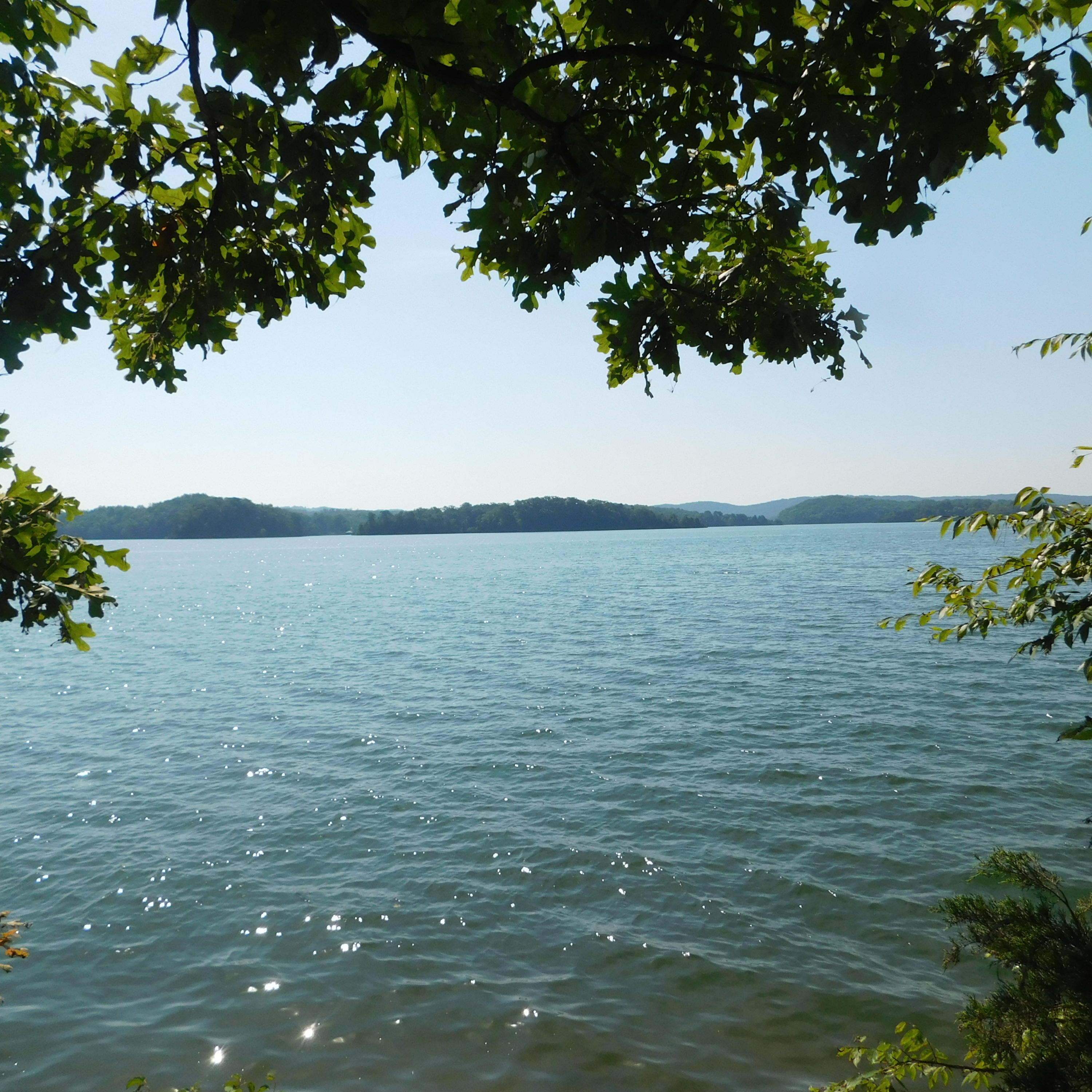 0 Nancy Point Road, Unit LOT 5 Spring City, TN 37381 - Photo 1 of 7 DSCN5230