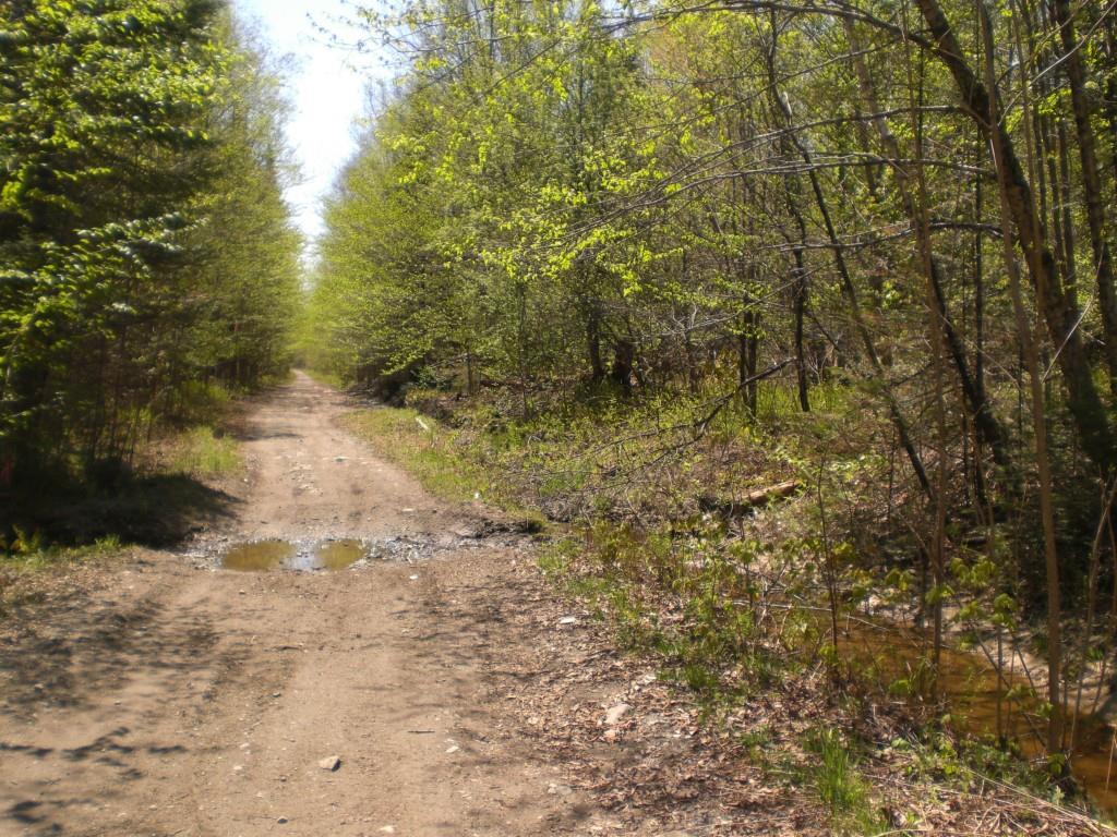 0 Weeks Road North Anson, ME 04958 - Photo 1 of 8 Photo