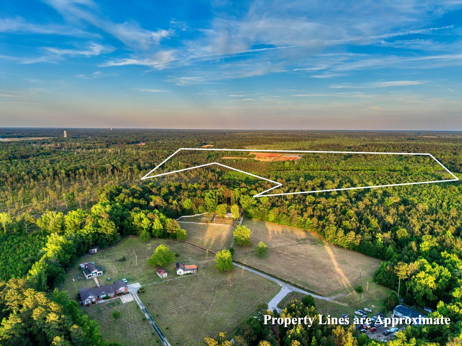 Tbd Tbd Carroll Road Greeleyville, SC 29056 - Photo 1 of 5