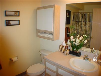 18372 North Ridge Court, Unit 16 Spring Lake, MI 49456 - Photo 10 of 19 Additional Photo