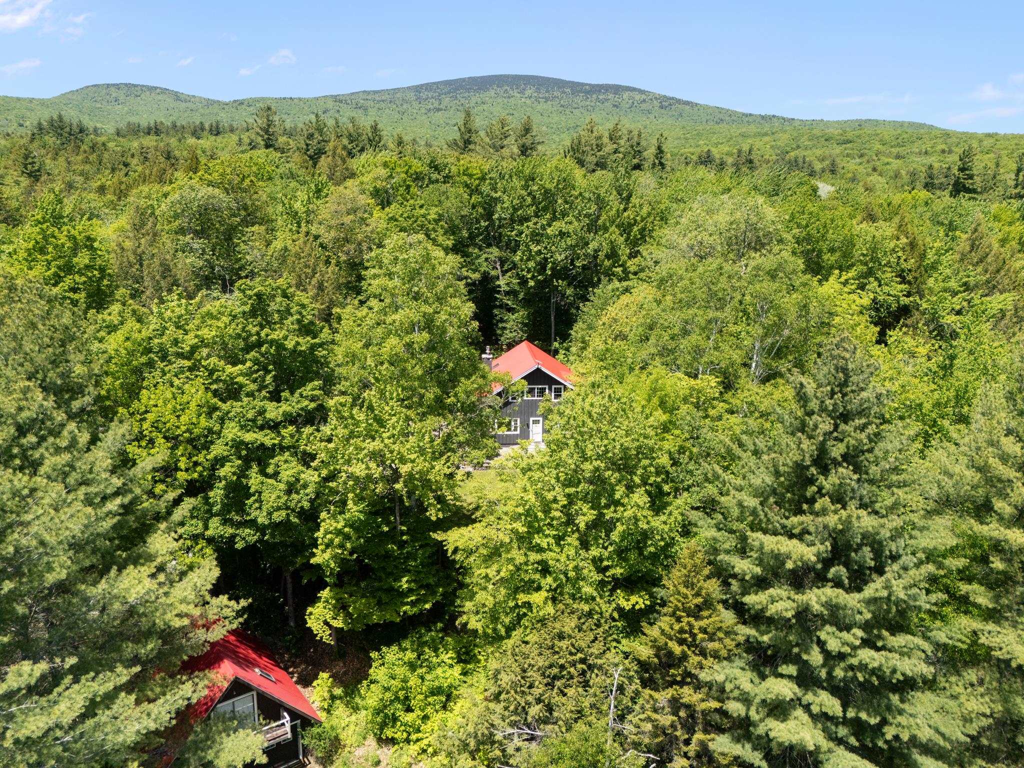 227 West Jamaica Road Stratton, VT 05360 - Photo 43 of 45
