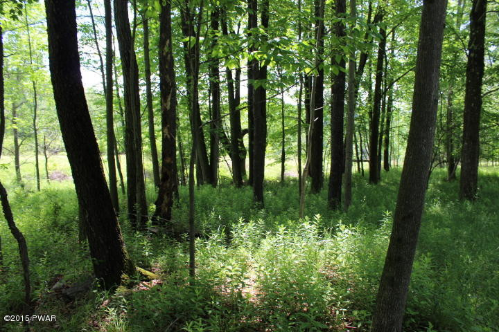 406 Avoy Road Lake Ariel, PA 18436 - Photo 6 of 13