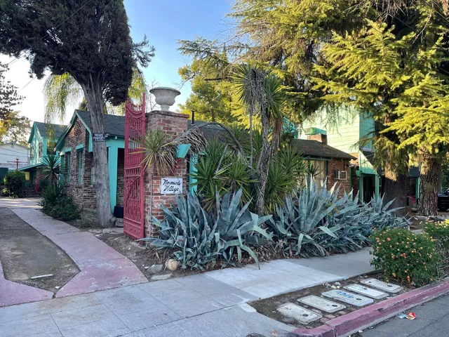 a view of bushes and pathway