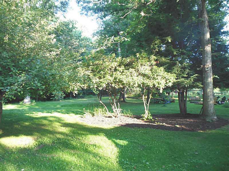 786 Martin Road Indiana, PA 15701 - Photo 16 of 25 Land.