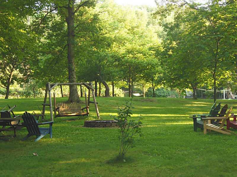 786 Martin Road Indiana, PA 15701 - Photo 8 of 25 Land. Well landscaped & lush 4.4 acres. Plenty of space for everything and everyone.