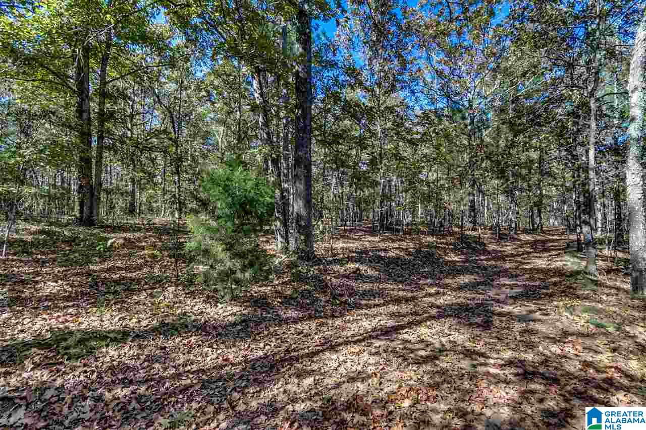 384 Wolf Pond Road, Unit 1 Talladega, AL 35160 - Photo 15 of 26