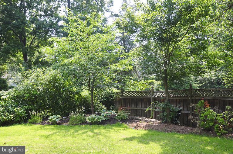 3125 Jennings Road Kensington, MD 20895 - Photo 14 of 25 Backyard