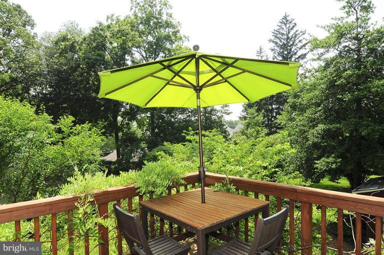 3125 Jennings Road Kensington, MD 20895 - Photo 19 of 25 View from Deck