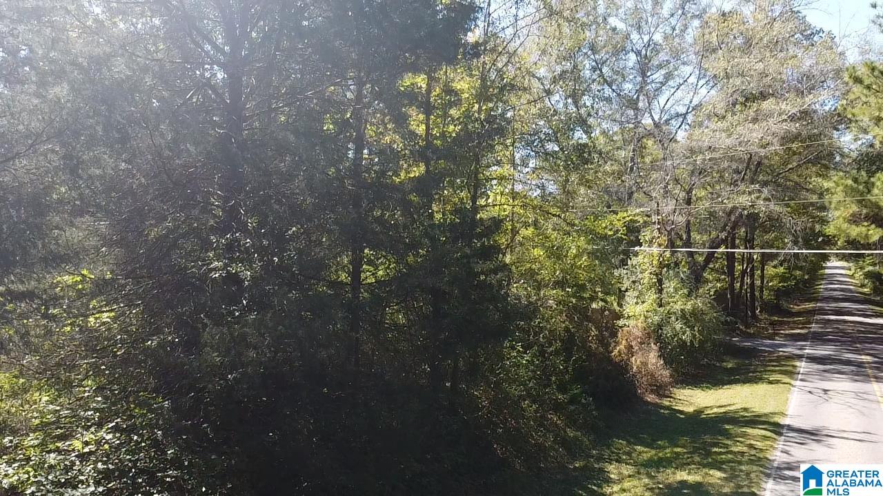 0 Odens Mill Road Sylacauga, AL 35151 - Photo 13 of 23