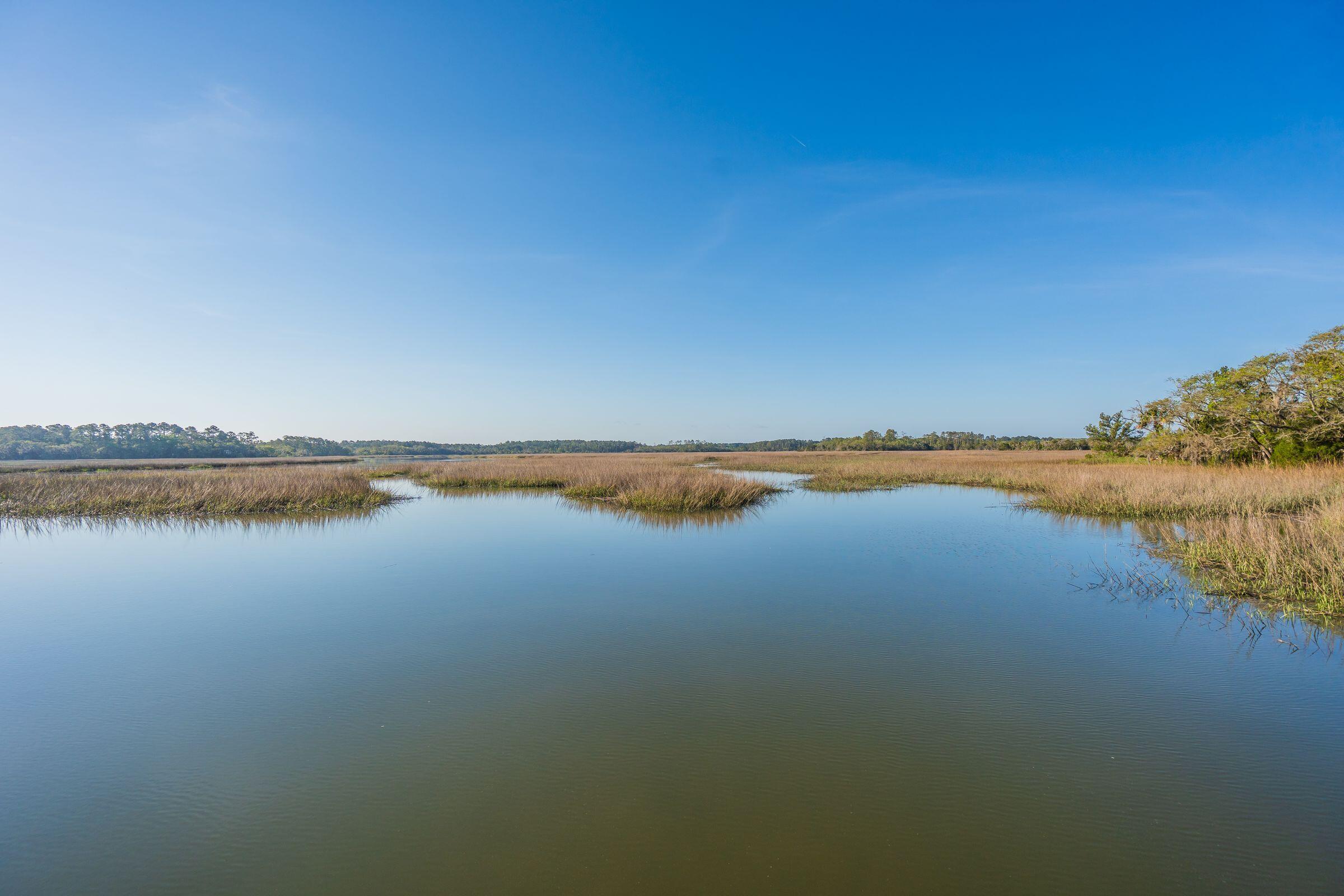 7965 Russell Creek Road Edisto Island, SC 29438 - Photo 90 of 111 7965RussellCrkDr-KeenEyeMarketing-097