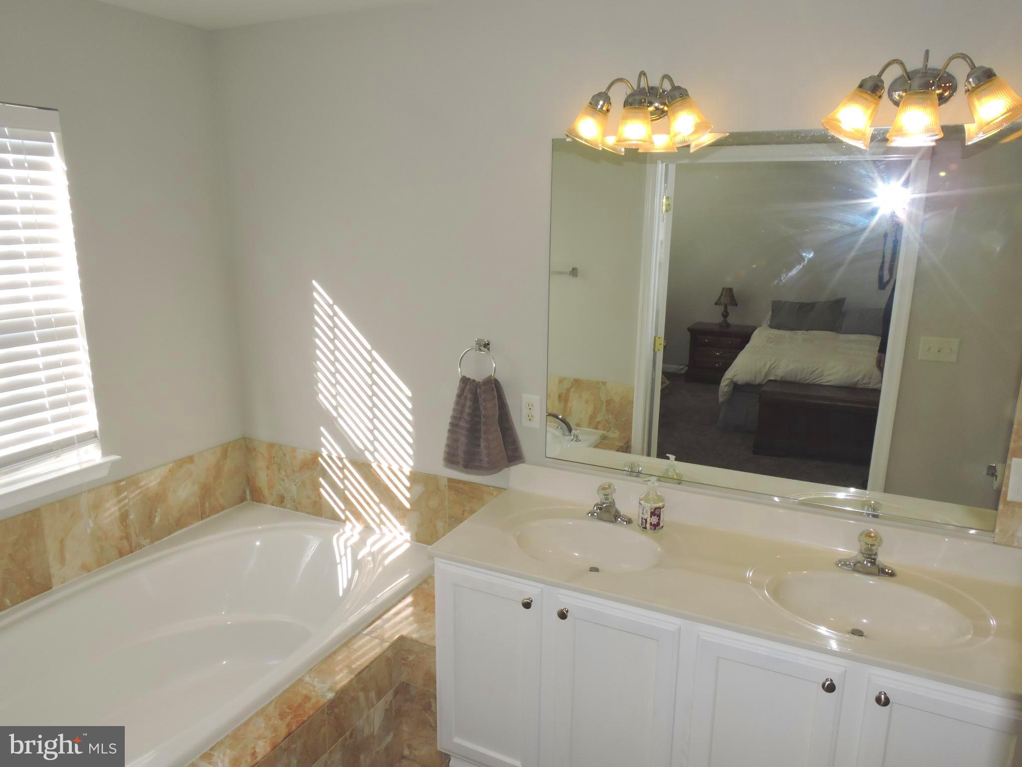 42 Watercourse Drive Ranson, WV 25438 - Photo 22 of 37 Double vanities and a large garden tub