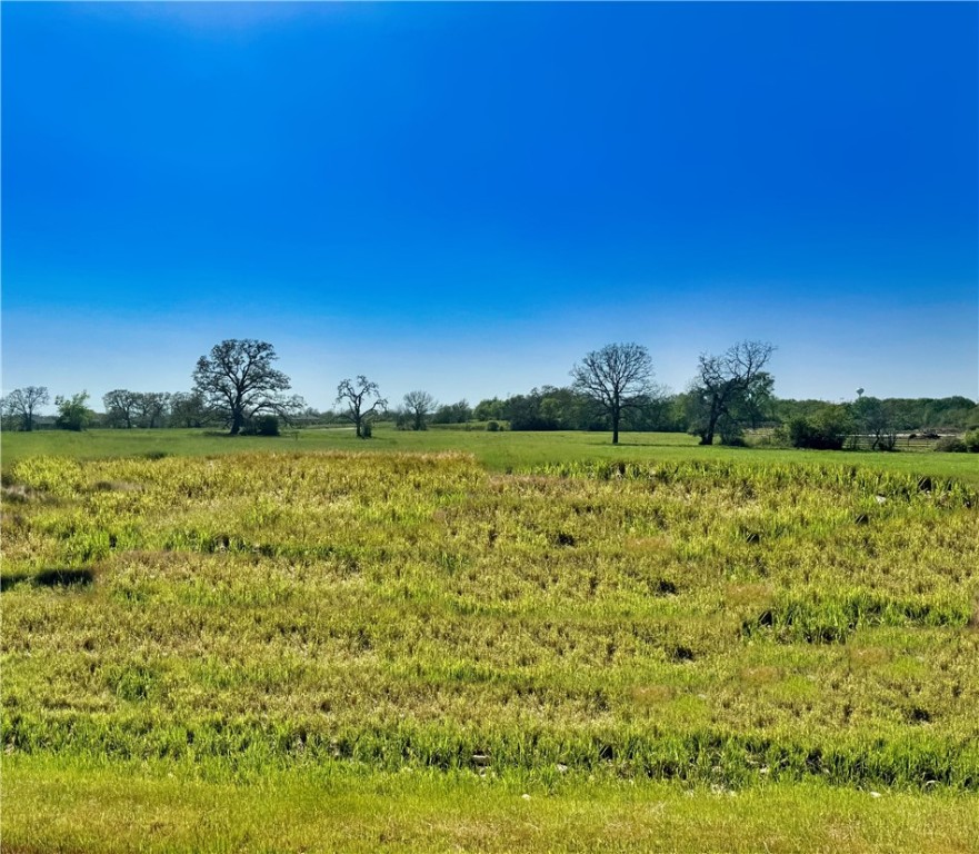 10199 Panther Creek Road Iola, TX 77861 - Photo 1 of 50 a backyard of a building with lots of green space and mountain view in back