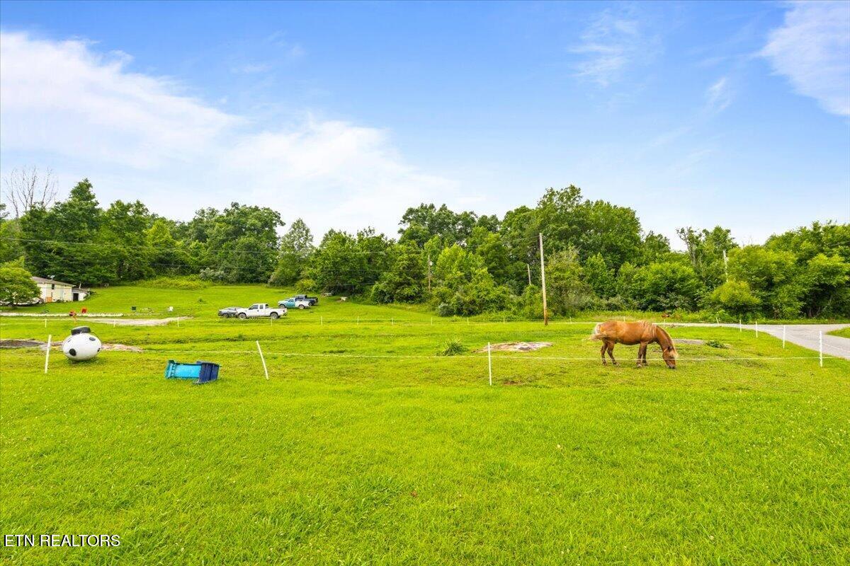 982 Little White Oak Road Duff, TN 37729 - Photo 16 of 18 982 Little White Oak Rd