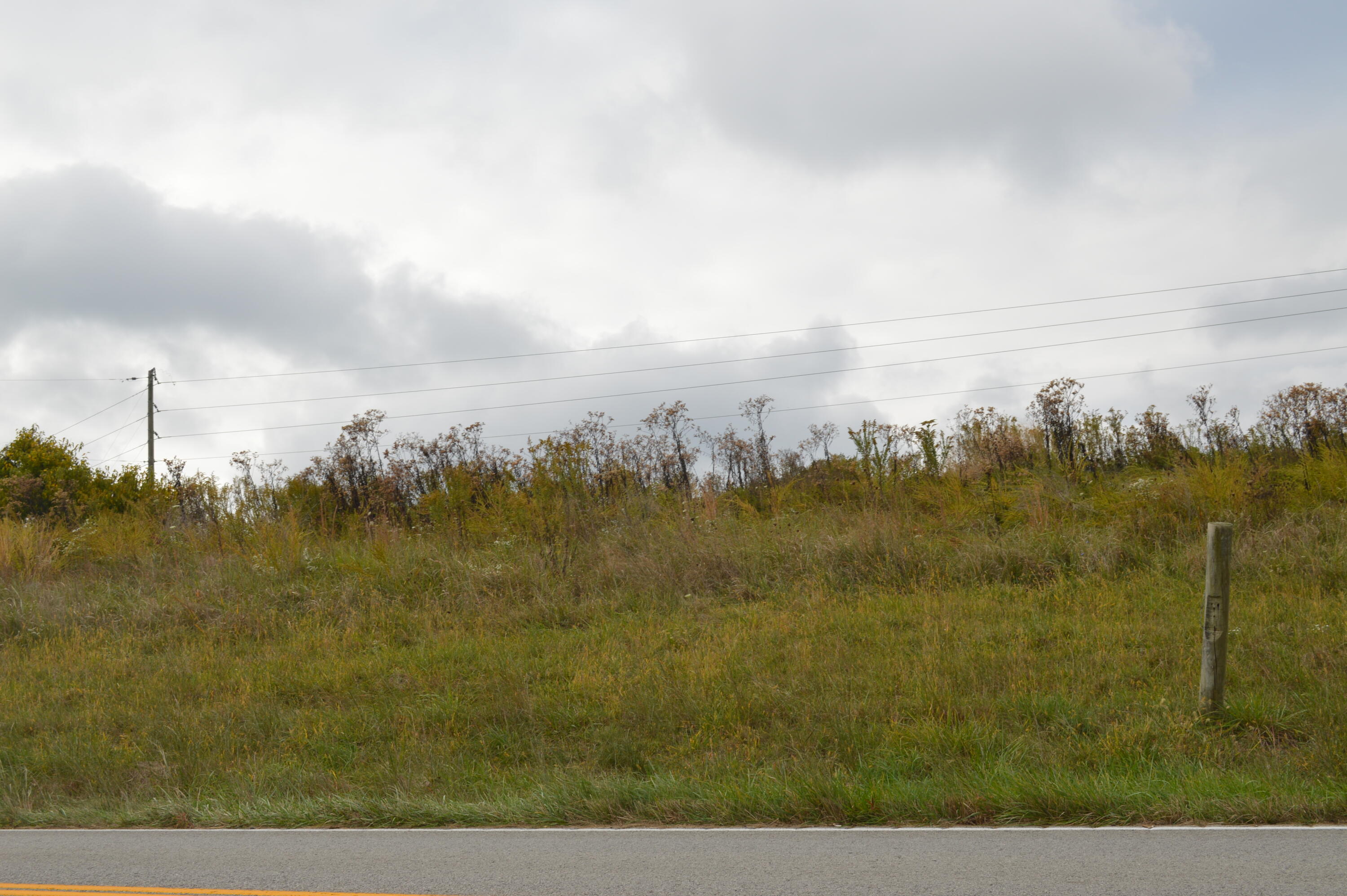 Lot # Georgetown Road Owenton, KY 40359 - Photo 7 of 13 DSC_0096