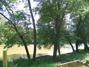 181 Rivervale Cabin Road Bedford, IN 47421 - Photo 9 of 10