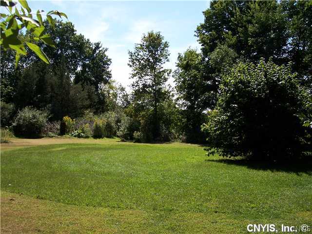 226 Mitchell Road Macomb, NY 13654 - Photo 1 of 1 Yard/Garden