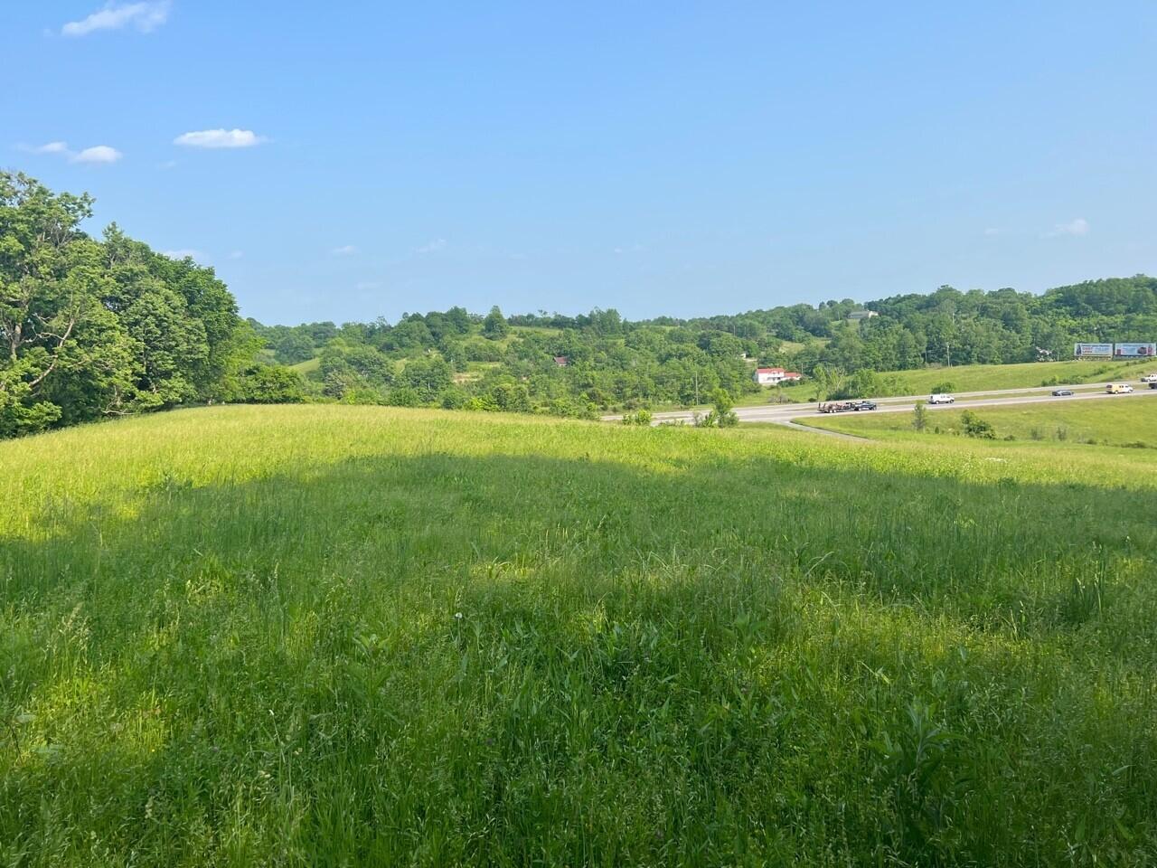 204 Old Lexington Spur Road Lancaster, KY 40444 - Photo 25 of 27 Land 5
