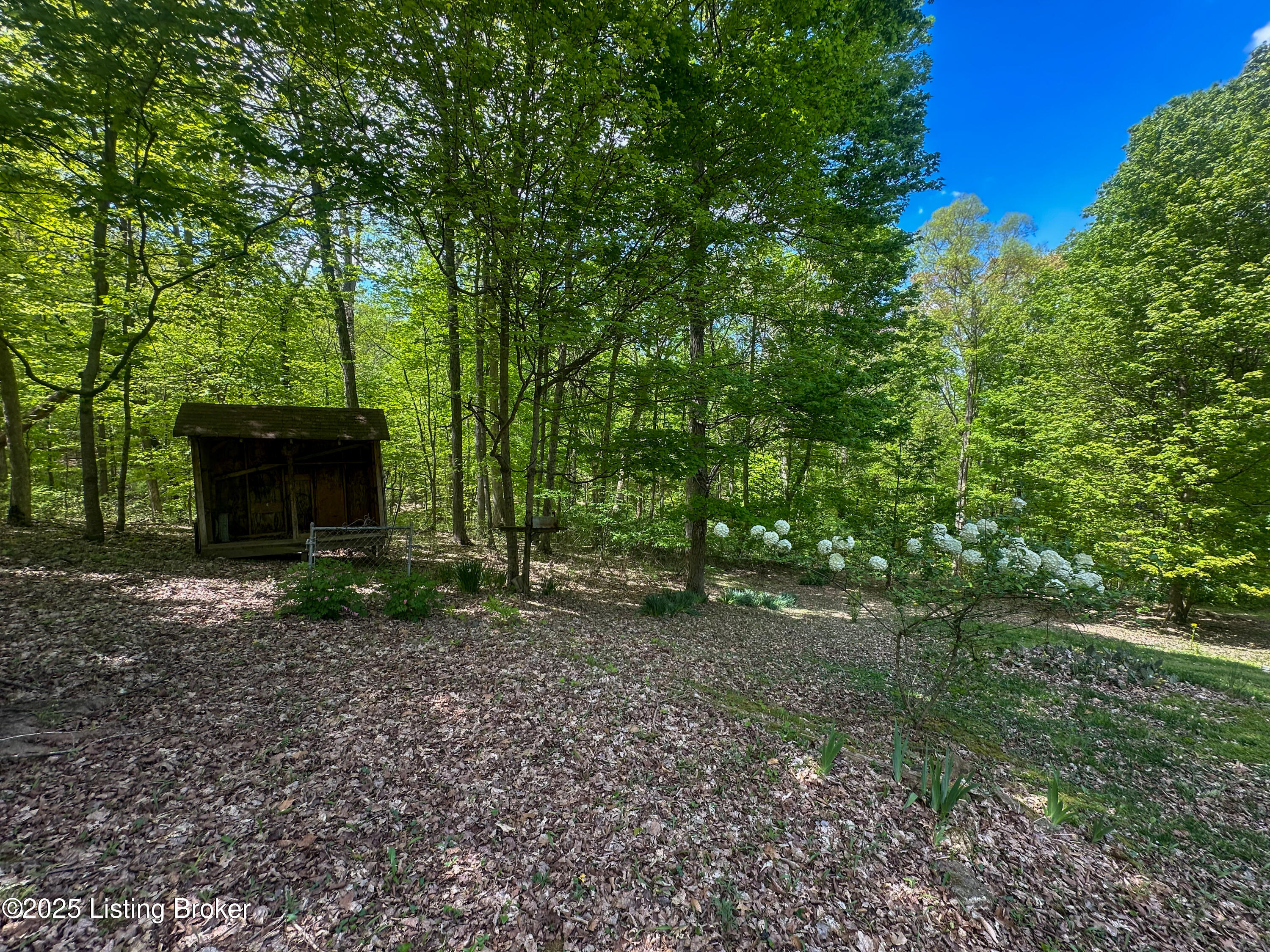 999 Ferncliff Road Brandenburg, KY 40108 - Photo 10 of 64 IMG_0437