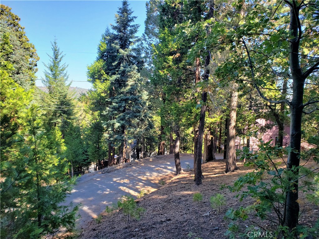 330 Castle Gate Road Lake Arrowhead, CA 92352 - Photo 1 of 12